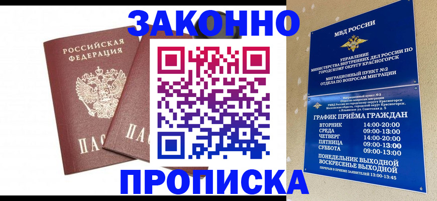 прописка гарантия в Хвалынске